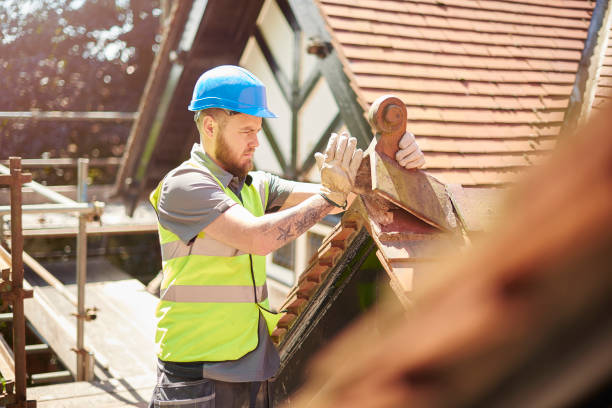 Best Roof Gutter Cleaning  in El Macero, CA